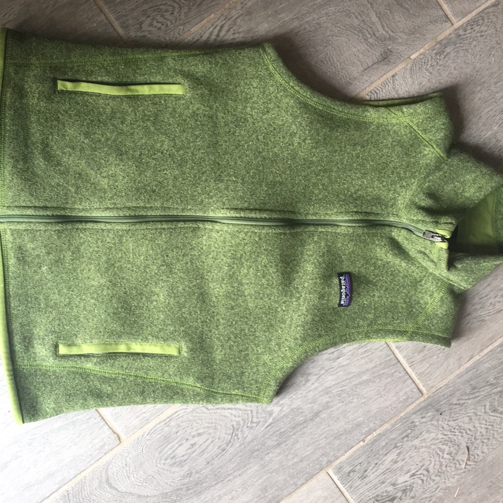 Patagonia fleece vest